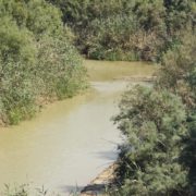 previewimage_2_2000px_MuddyWaters